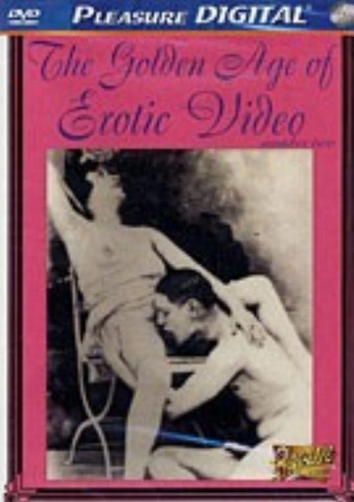 The Golden Age Of Erotic Video 2