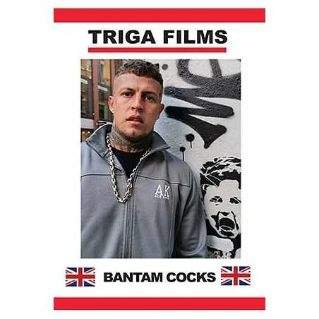 Bantam Cocks | Triga Films