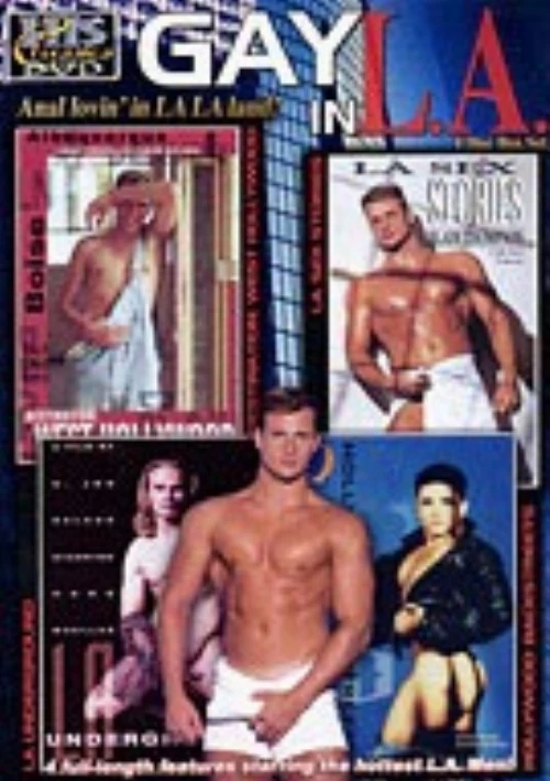 Gay In L.A. (4 Disc Set) | VCA