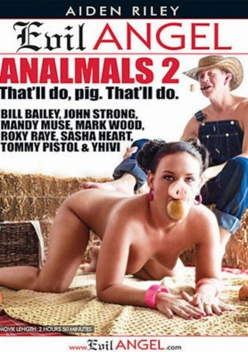 Analmals 2