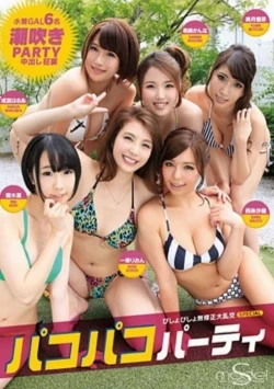 S Model 161 (SMD-161)