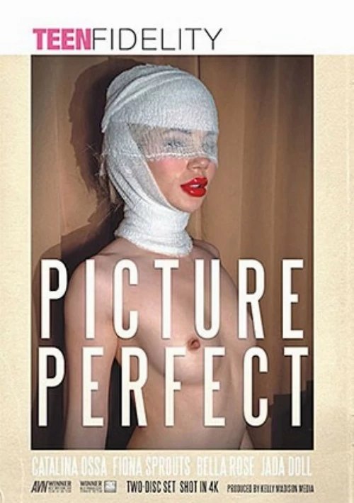 Picture Perfect 1 (2 Disc Set) | Porn Fidelity