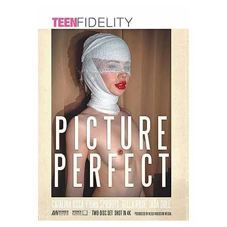 Picture Perfect 1 (2 Disc Set) | Porn Fidelity