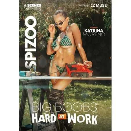 Big Boobs Hard At Work | Spizoo