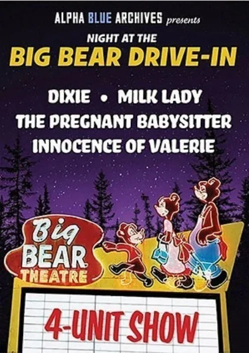 Okładka produktu Night At The Big Bear Drive In w sklepie PORNO-DVD.STORE