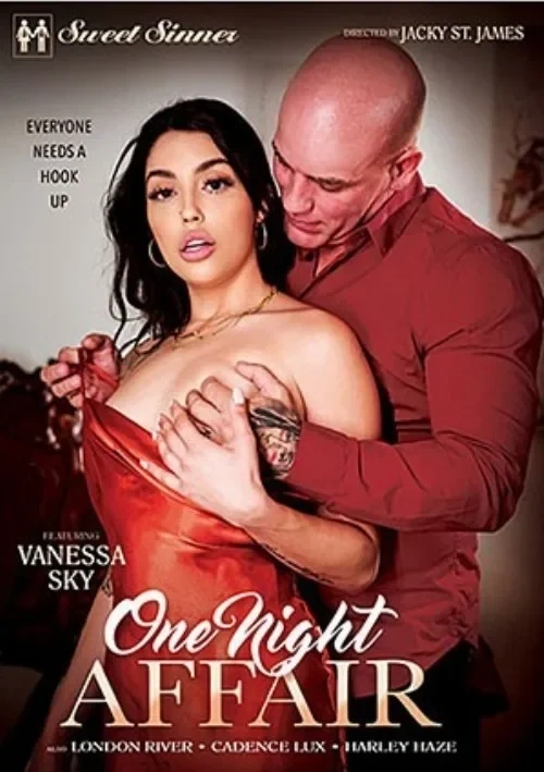 Okładka produktu One Night Affair w sklepie PORNO-DVD.STORE