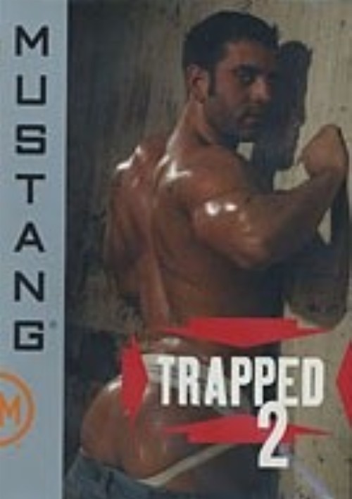Trapped 2