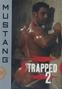 Trapped 2
