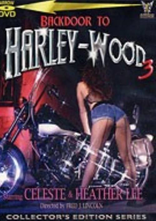 Backdoor To Harley-Wood 3