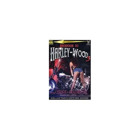 Backdoor To Harley-Wood 3 | Arrow