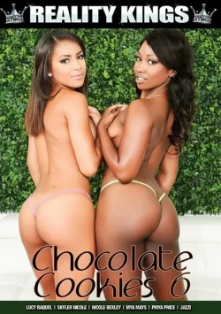 Chocolate Cookies 6