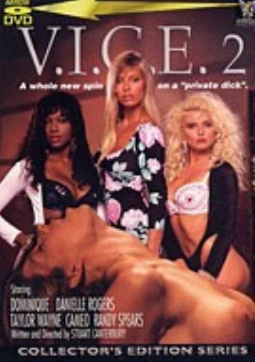 V.I.C.E. 2