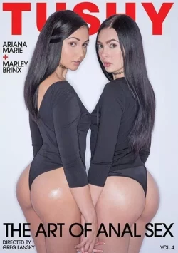 The Art Of Anal Sex 4