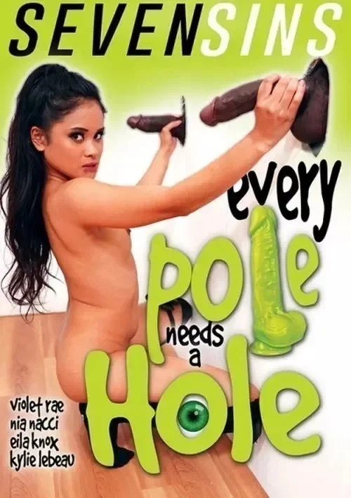 Okładka produktu Every Pole Needs A Hole w sklepie PORNO-DVD.STORE
