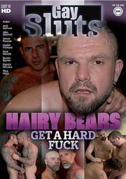 Hairy Bears Get A Hard Fuck