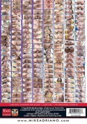 Slut Auditions 1 (2 Disc Set)