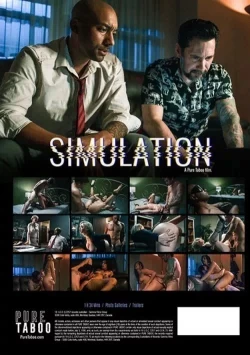 Simulation