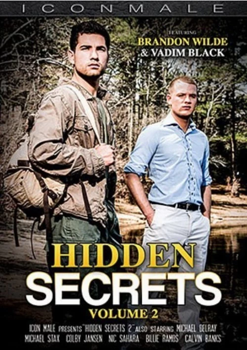 Hidden Secrets 2