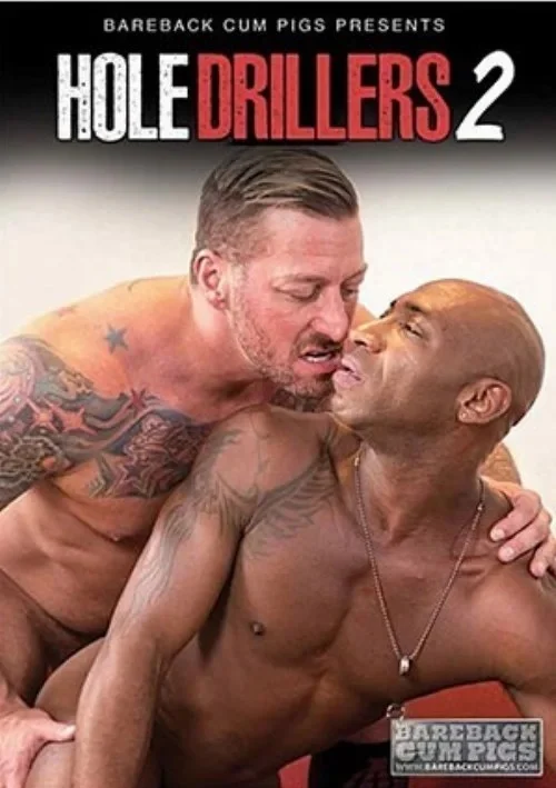 Okładka produktu Hole Drillers 2 w sklepie PORNO-DVD.STORE