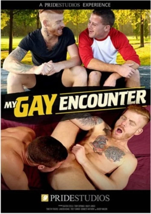 My Gay Encounter