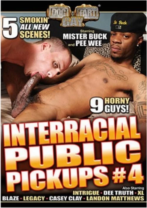 Interracial Public Pickups 4