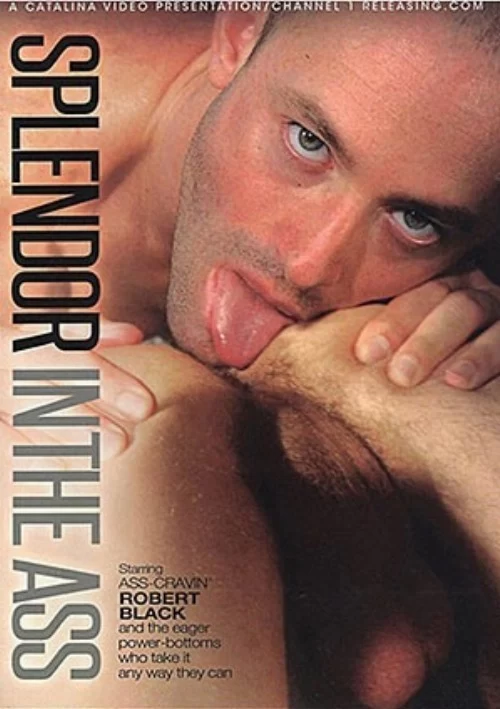 Splendor In The Ass