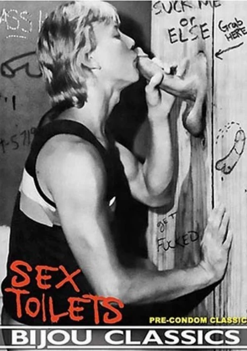 Sex Toilets
