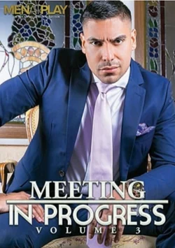 Meeting In Progress 3