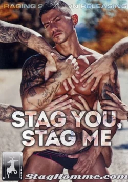 Stag You, Stag Me