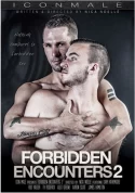 Forbidden Encounters 2