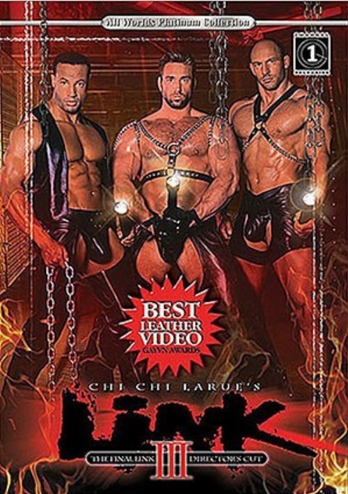 Link 3: Final Link Director's Cut