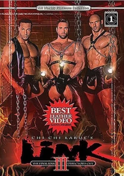 Link 3: Final Link Director's Cut