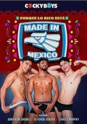 Made In Mexico