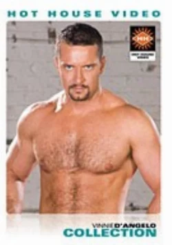 Vinnie D'Angelo Collection