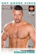 Vinnie D'Angelo Collection