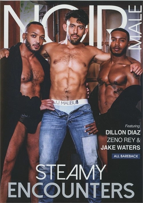 Okładka produktu Steamy Encounters 1 w sklepie PORNO-DVD.STORE