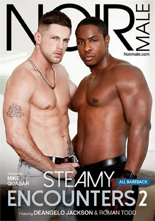 Okładka produktu Steamy Encounters 2 w sklepie PORNO-DVD.STORE