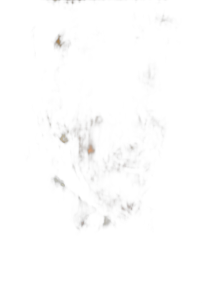 Adele-Maria Hortshorn – miniatura