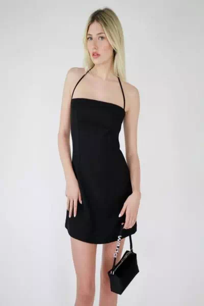 Caroline Earle – miniatura