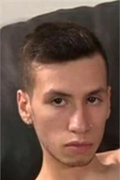 Cesar-Rose.webp