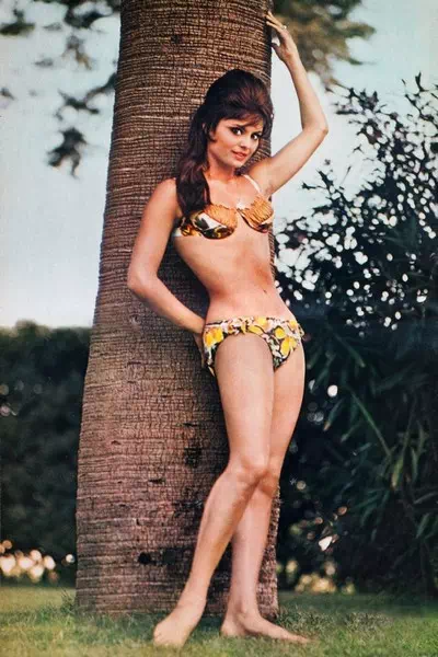 Daliah Lavi – miniatura