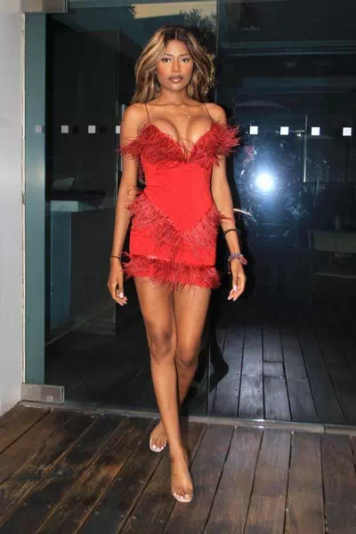 Elle Monae – miniatura