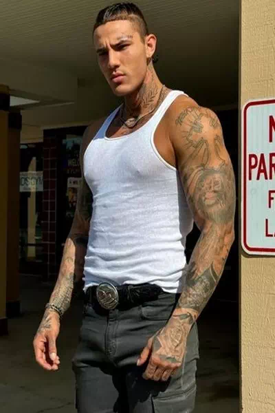 Gemini Jay – miniatura