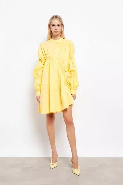 Lea Pliger – miniatura