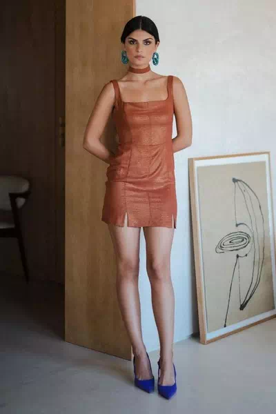 Maria Gomes Andrade – miniatura