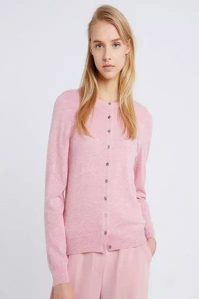 Nina Dapper – miniatura