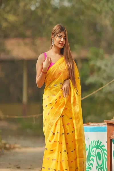 Oriya Sarkar – miniatura