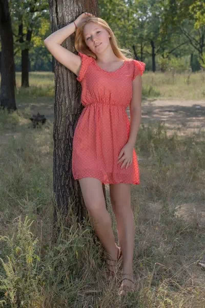 Red Cat – miniatura