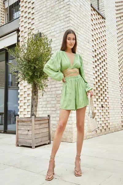 Roxxsaurus – miniatura