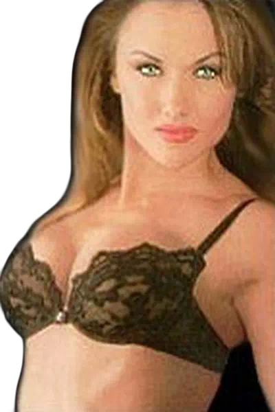 Taren Steele – miniatura